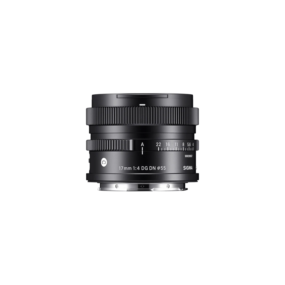 17mm F4 DG DN