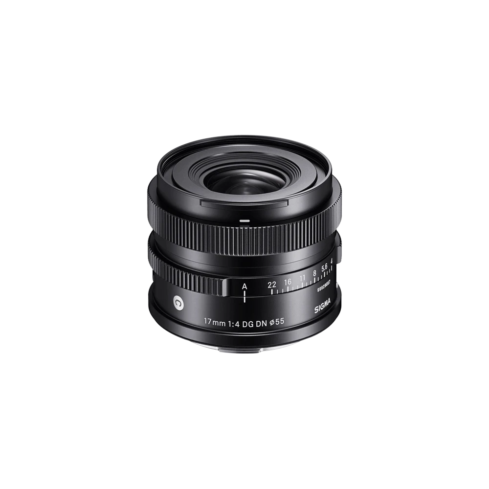 17mm F4 DG DN