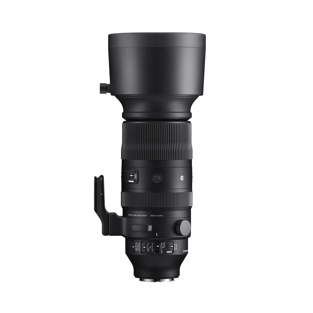 60-600mm F4.5-6.3 DG DN OS