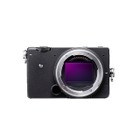 fp - Mirrorless Camera